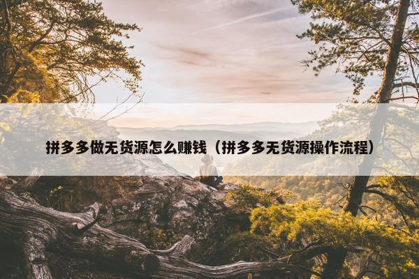 拼多多做无货源怎么赚钱（拼多多无货源操作流程）