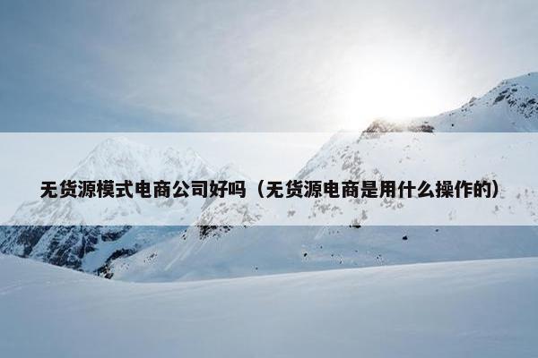 无货源模式电商公司好吗（无货源电商是用什么操作的）