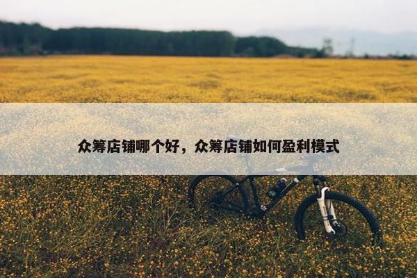 众筹店铺哪个好，众筹店铺如何盈利模式