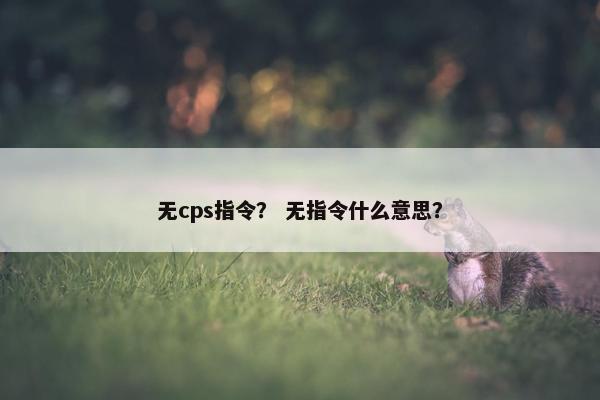 无cps指令？ 无指令什么意思？