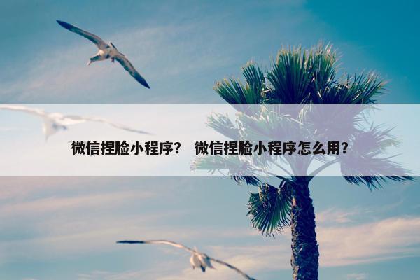 微信捏脸小程序？ 微信捏脸小程序怎么用？