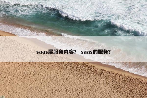 saas层服务内容？ saas的服务？