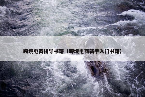 跨境电商指导书籍（跨境电商新手入门书籍）