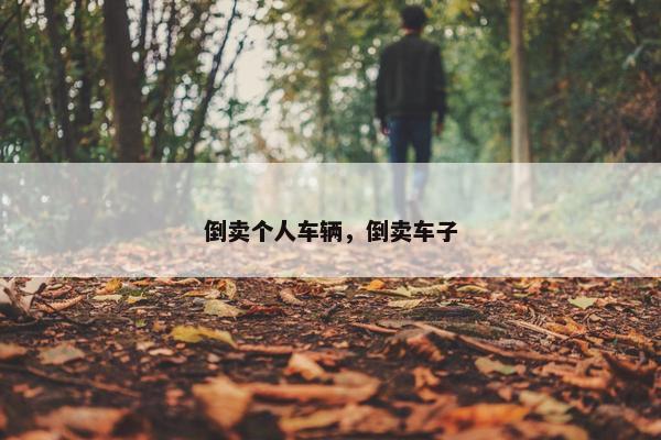 倒卖个人车辆，倒卖车子