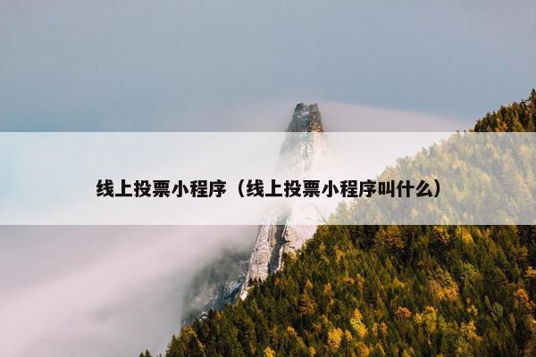 线上投票小程序（线上投票小程序叫什么）