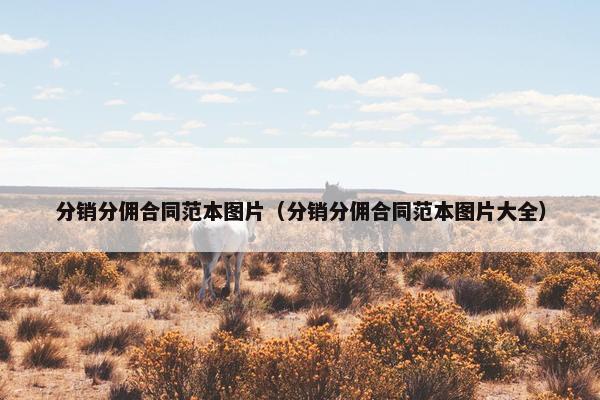 分销分佣合同范本图片（分销分佣合同范本图片大全）