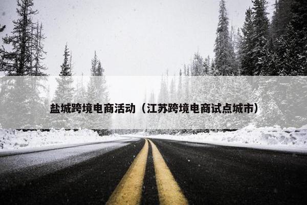 盐城跨境电商活动（江苏跨境电商试点城市）