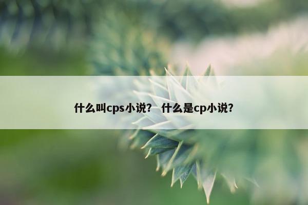 什么叫cps小说？ 什么是cp小说？