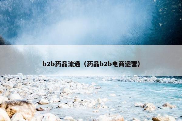 b2b药品流通（药品b2b电商运营）