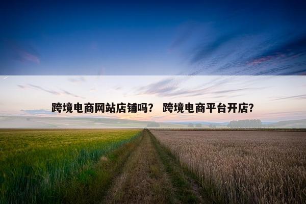 跨境电商网站店铺吗？ 跨境电商平台开店？