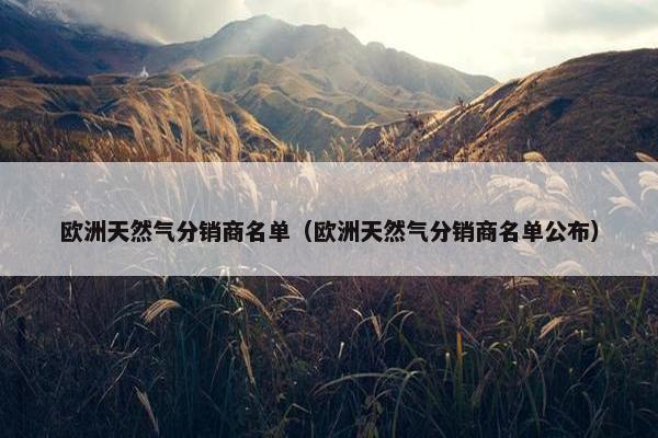 欧洲天然气分销商名单（欧洲天然气分销商名单公布）