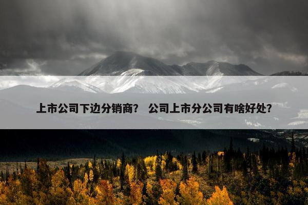 上市公司下边分销商？ 公司上市分公司有啥好处？