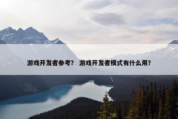 游戏开发者参考？ 游戏开发者模式有什么用？