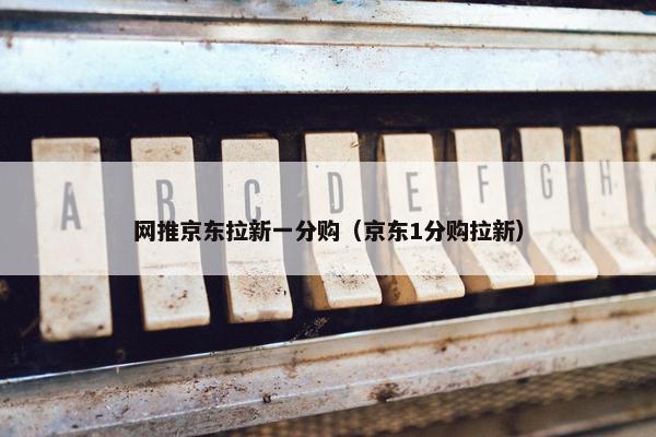 网推京东拉新一分购（京东1分购拉新）