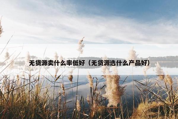 无货源卖什么率低好（无货源选什么产品好）