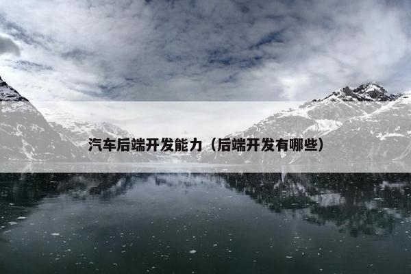 汽车后端开发能力（后端开发有哪些）