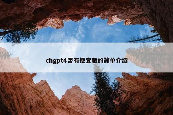 chgpt4否有便宜版的简单介绍
