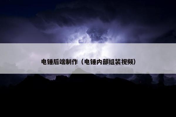 电锤后端制作（电锤内部组装视频）