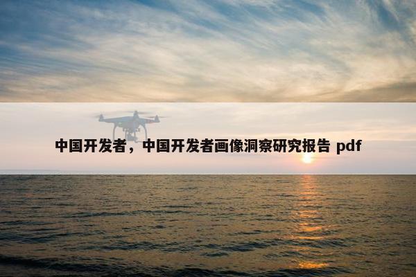 中国开发者，中国开发者画像洞察研究报告 pdf