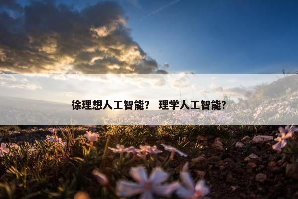 徐理想人工智能？ 理学人工智能？