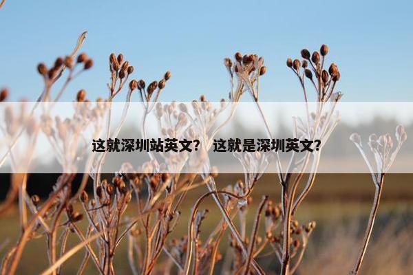 这就深圳站英文？ 这就是深圳英文？