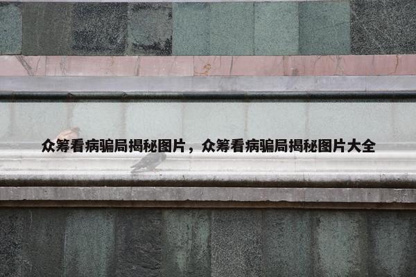 众筹看病骗局揭秘图片，众筹看病骗局揭秘图片大全