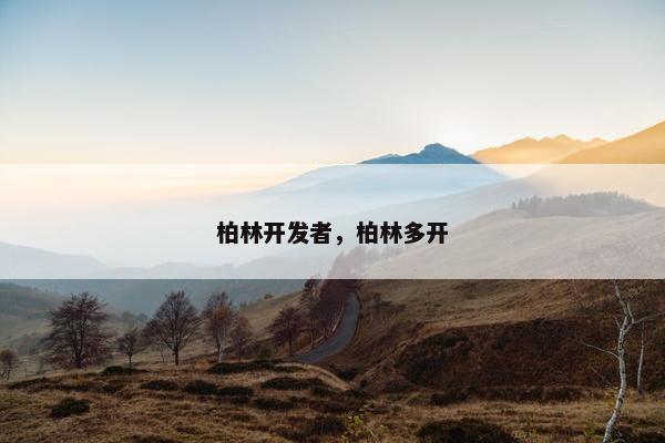 柏林开发者，柏林多开