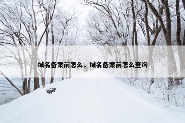 域名备案前怎么，域名备案前怎么查询
