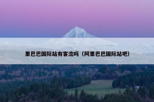 里巴巴国际站有客流吗（阿里巴巴国际站吧）