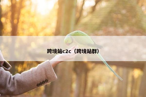 跨境站c2c（跨境站群）