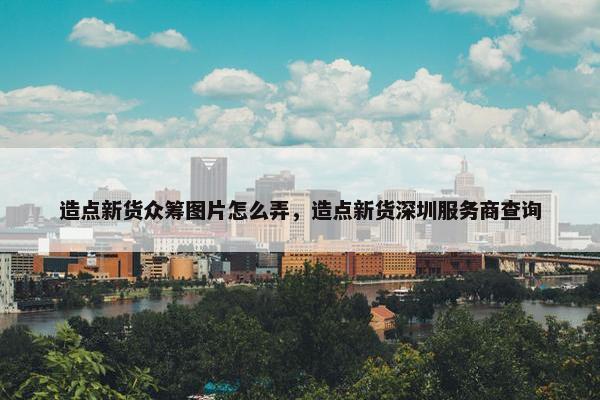 造点新货众筹图片怎么弄，造点新货深圳服务商查询
