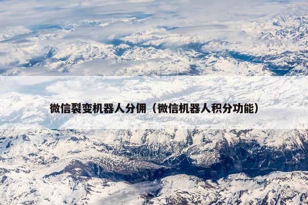 微信裂变机器人分佣（微信机器人积分功能）