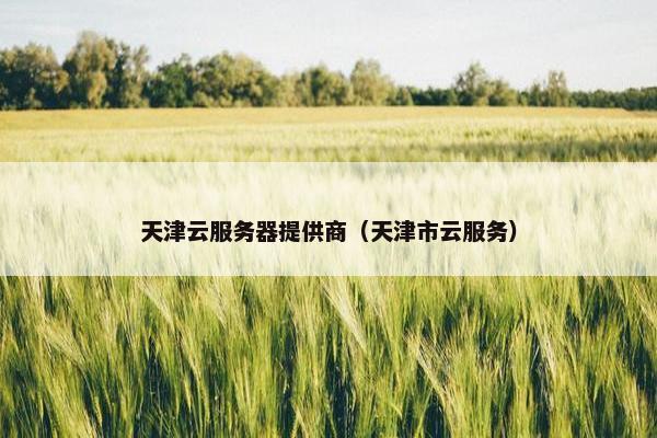 天津云服务器提供商（天津市云服务）
