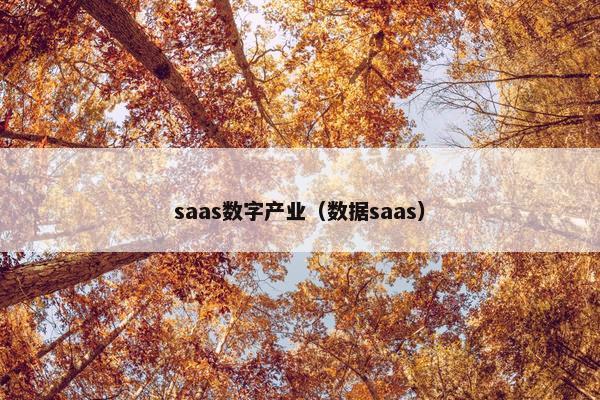 saas数字产业（数据saas）