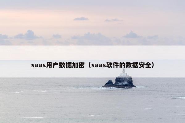 saas用户数据加密（saas软件的数据安全）