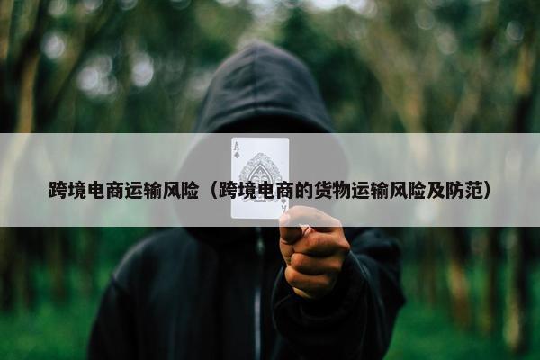 跨境电商运输风险（跨境电商的货物运输风险及防范）