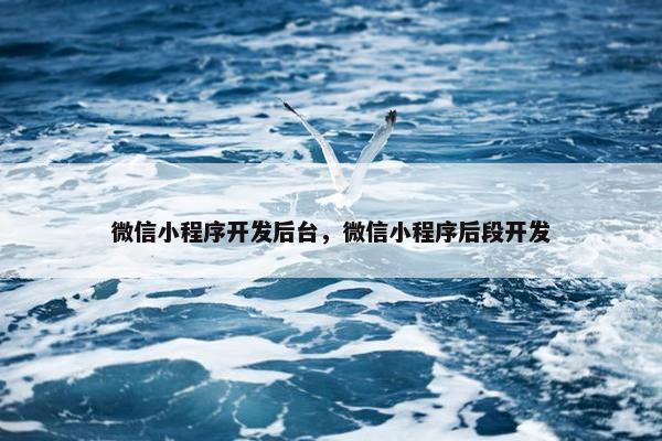 微信小程序开发后台，微信小程序后段开发
