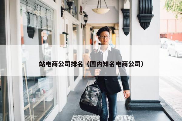 站电商公司排名（国内知名电商公司）