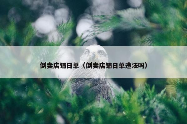 倒卖店铺日单（倒卖店铺日单违法吗）