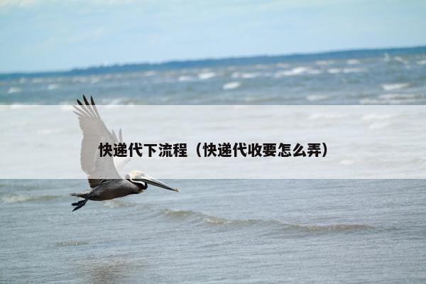 快递代下流程（快递代收要怎么弄）