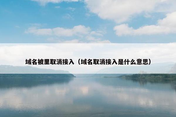 域名被里取消接入（域名取消接入是什么意思）