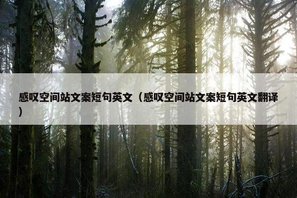 感叹空间站文案短句英文（感叹空间站文案短句英文翻译）