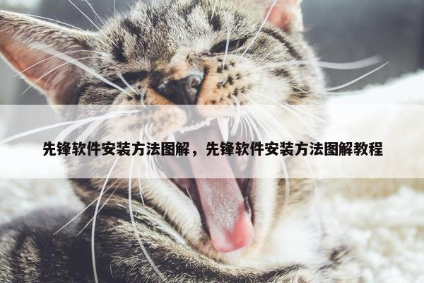 先锋软件安装方法图解，先锋软件安装方法图解教程