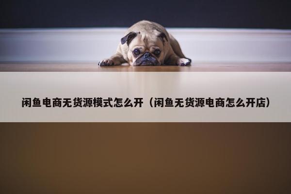 闲鱼电商无货源模式怎么开（闲鱼无货源电商怎么开店）