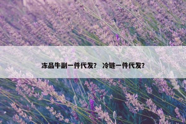冻品牛副一件代发？ 冷链一件代发？