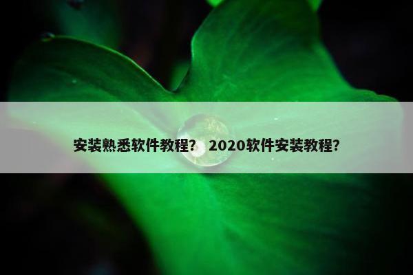 安装熟悉软件教程？ 2020软件安装教程？