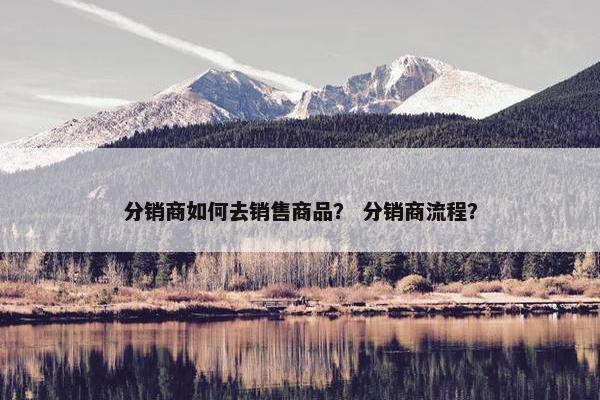 分销商如何去销售商品？ 分销商流程？