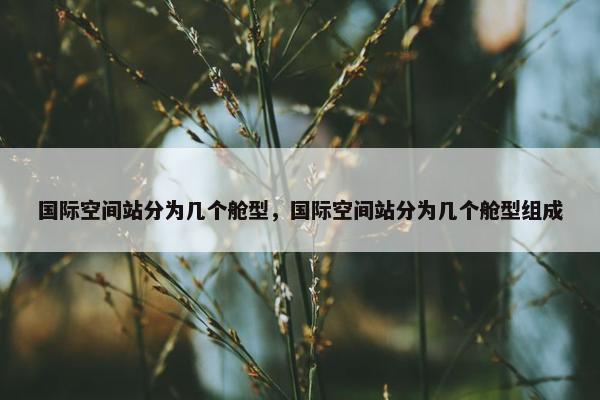 国际空间站分为几个舱型，国际空间站分为几个舱型组成