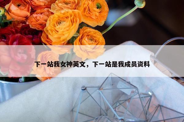 下一站我女神英文，下一站是我成员资料