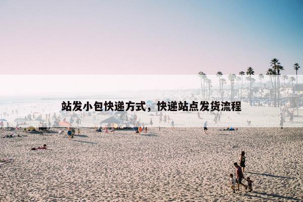站发小包快递方式，快递站点发货流程